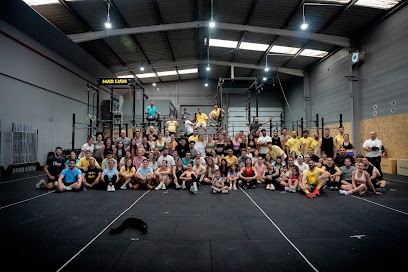 Mad Lions Training Club – Revisión & opiniones